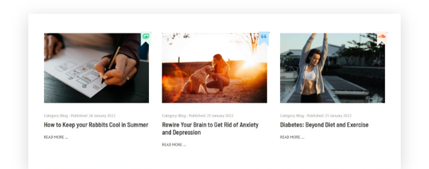Present your latest articles in a responsive, <em>easy-to-navigate blog layout</em>