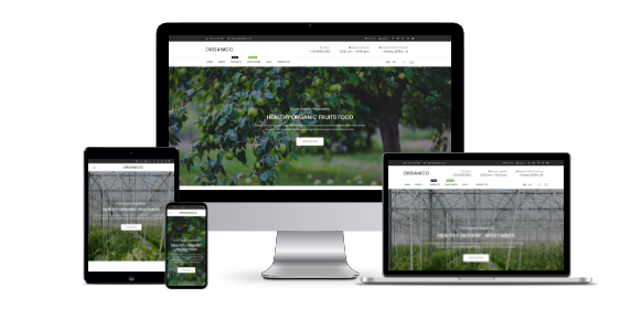 Mobile-friendly <em>responsive</em> designs