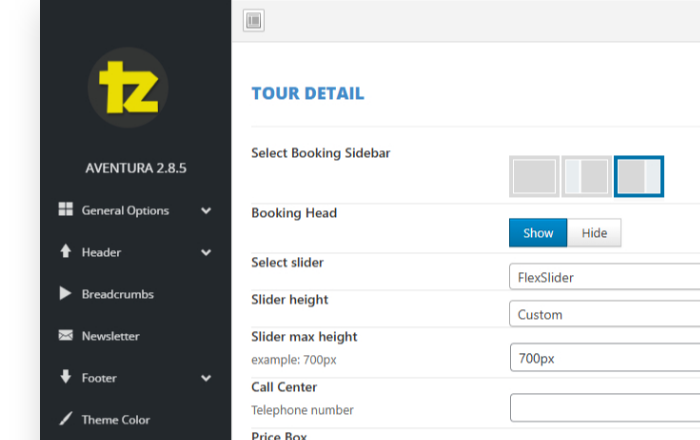 Flexible <em>theme options</em> panel